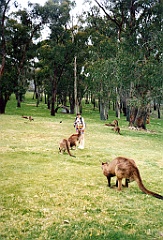 2000 - Australie 126G